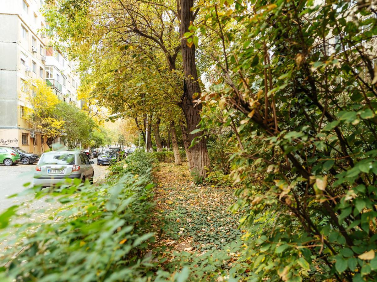 Woody - Cozy And Quiet Place Near Moghioros Park Bucarest Esterno foto